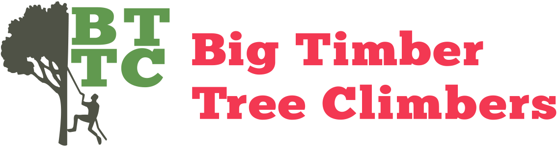 Big Timber Tree Climbers Logo